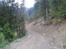 début de montée à la basse du Gerbier